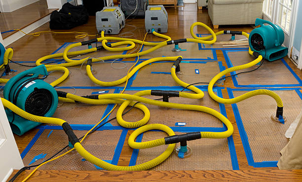 Professional Water Extraction technician working in McCutchenville, OH