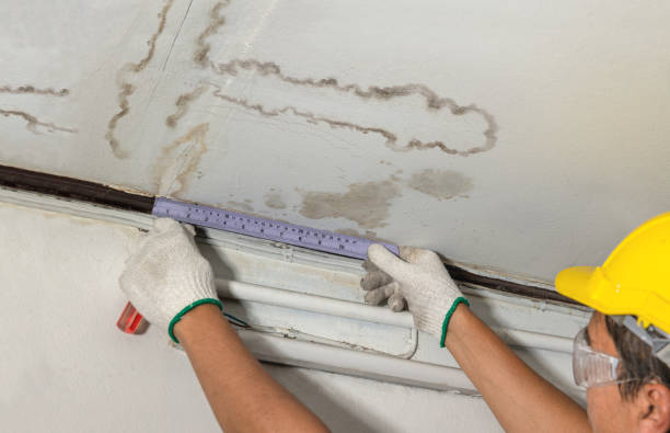 Affordable Water Damage Repair solutions in McCutchenville, OH